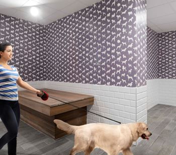 Self-serve dog wash station